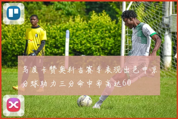 乌度卡赞奥科吉赛季表现出色申京分球助力三分命中率高达60