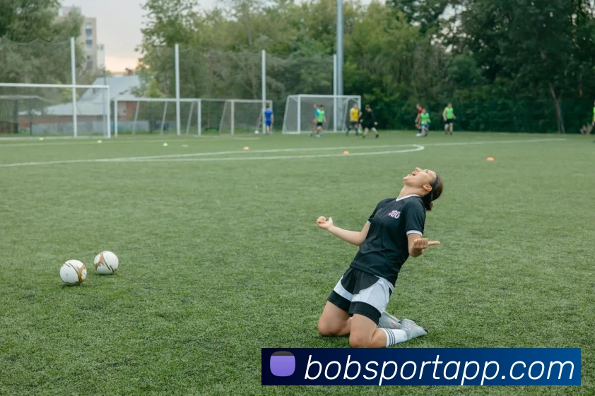 BOB体育平台生态图